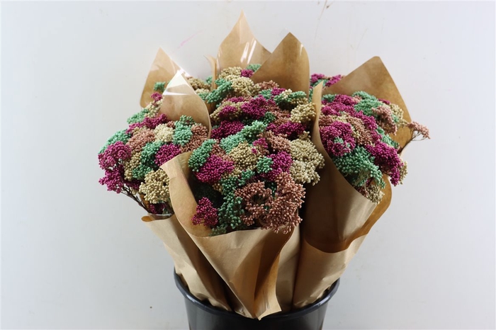 <h4>Dried Bqt Riceflower Mix Green Bunch</h4>