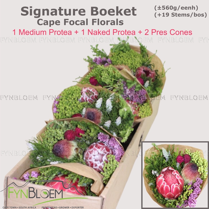 <h4>PROTEA PER BOS</h4>