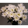 Chr Spray White Cristallo