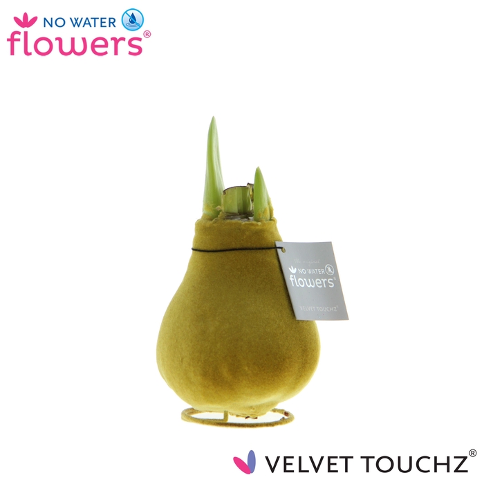 <h4>No Water Flowers Velvet Touchz® Gold</h4>