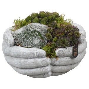 PTAH3014 Arrangement allerheiligen in beton handen pot