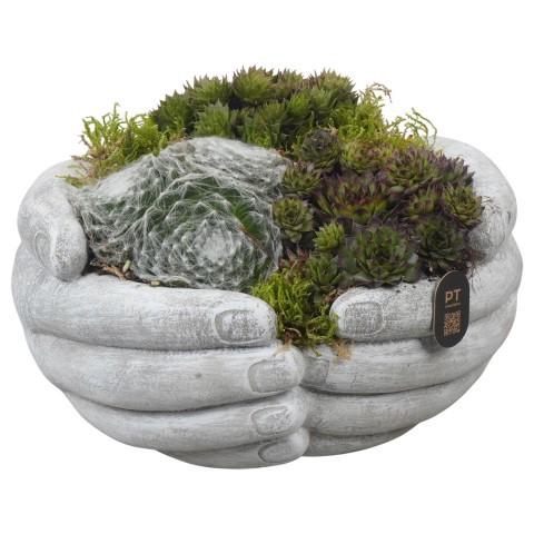 <h4>PTAH3014 Arrangement allerheiligen in beton handen pot</h4>