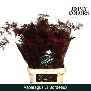 Aspa Lang Getopt Bordeaux