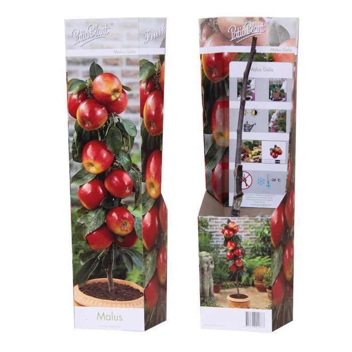 <h4>Malus Gala</h4>
