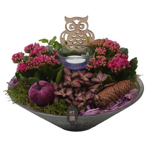 PTHG8266 Arrangement Autumn Glass in glas schaal