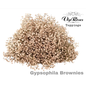 GYPS PA BROWNIES