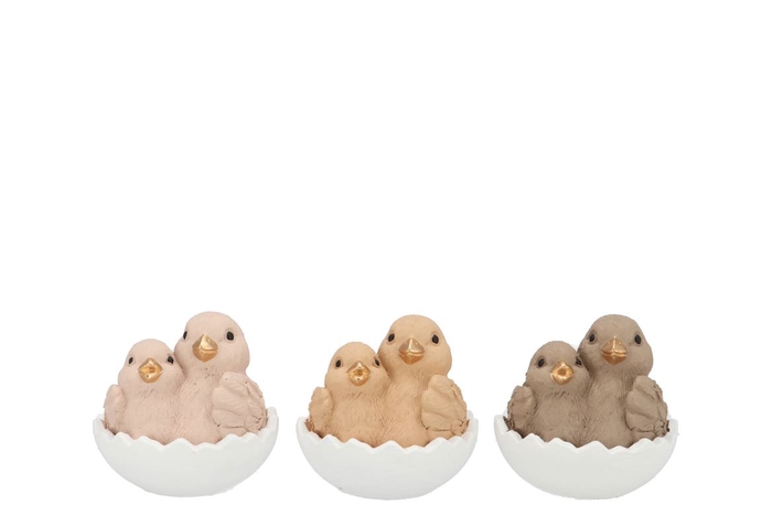 <h4>Easter Birds Natural Brown Mix Ass 12x11x12cm</h4>