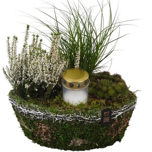PTAH3069 Arrangement Allerheiligen in mos mand in boot vorm