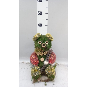 Decoratie  ..Vogelzaadfiguur  H%