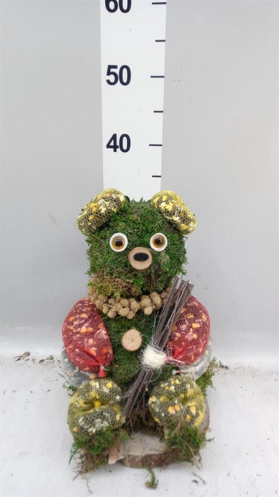 <h4>Decoratie  ..Vogelzaadfiguur  H%</h4>