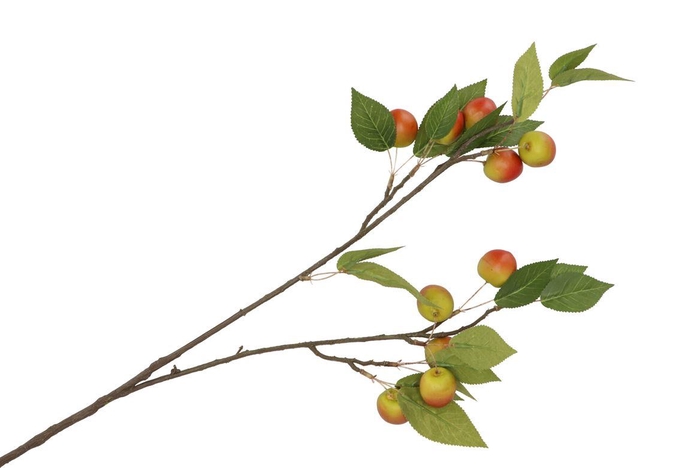 <h4>Silk Apple Plum Claude Red/green 76cm Nm</h4>