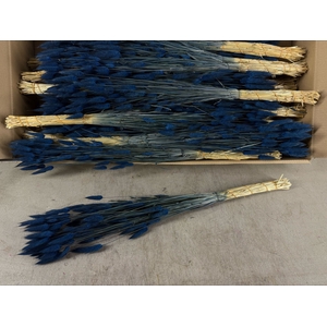DF Lagurus Bs 50g/70cm Dark Blue