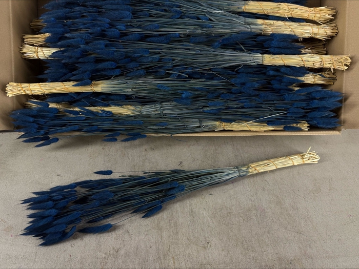 <h4>DF Lagurus Bs 50g/70cm Dark Blue</h4>