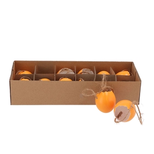 Eggs Kippen Hanger Abricot Per 12