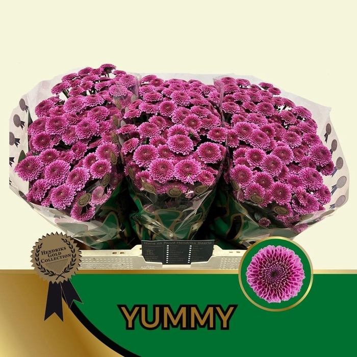 <h4>CHR SAN YUMMY CHR S YUMMY</h4>