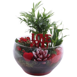 Valentine Arr. Indoor Glass Vase Ø25cm 4PP