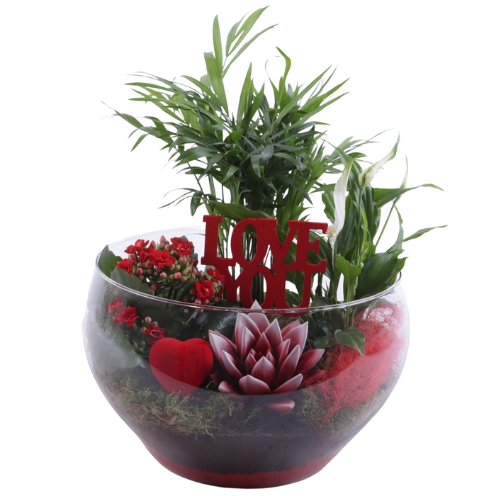 <h4>Valentine Arr. Indoor Glass Bowl Rounded Ø25cm 4PP</h4>