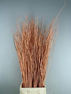 <h4>Willow Bundle Apricot</h4>