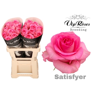 R GR SATISFYER