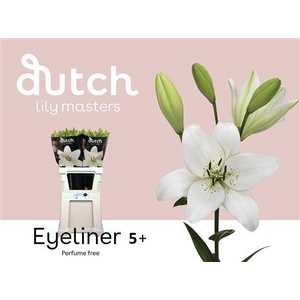 Li La Eyeliner 5+