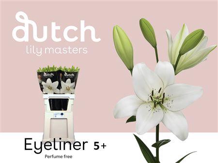 <h4>Li La Eyeliner 5+</h4>