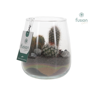 Glazen vaas Alzada met Cactus arrangement