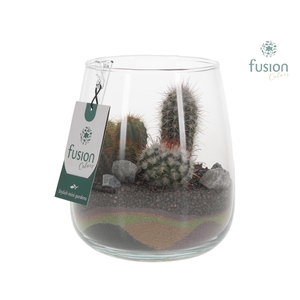 Glazen vaas Alzada met Cactus arrangement