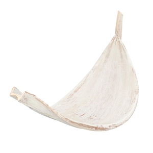 Droogvrucht Galara groot 60cm