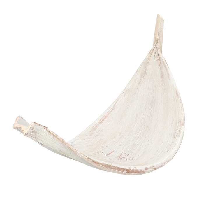 Droogvrucht Galara groot 60cm