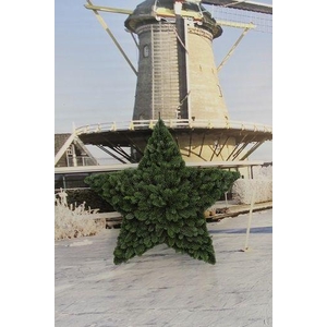 Ster vorm gesloten enkelzijdig Nobilis 40cm besneewd