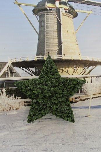 <h4>Ster vorm gesloten enkelzijdig Nobilis 40cm besneewd</h4>