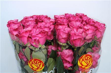 <h4>R Gr Country Blues ***</h4>