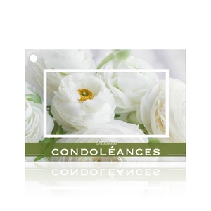 Sincères condoléances (1100441F)