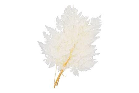 <h4>Dry Bleached Ledervaren Prepared 45x40cm</h4>