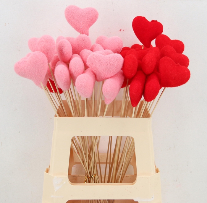 <h4>HUIS EN TUINDECO H%</h4>