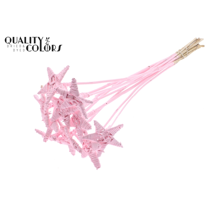 <h4>Lata Star on stem Covered Light Pink</h4>