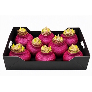 Wax Hipp Topline Gl Fuchsia