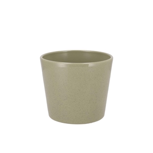 Ceramic Kiwi Stone Pot 11cm