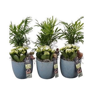 PTSD8031 Arrangement Summer Deal in keramiek pot