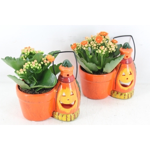 arr3 DT - Ker. halloween lantaarn