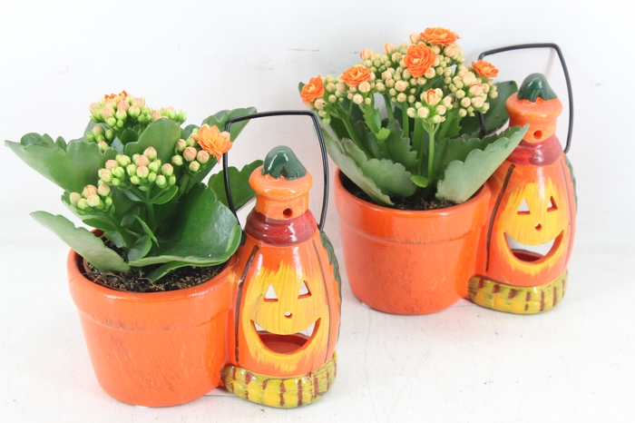 <h4>arr3 DT - Ker. halloween lantaarn</h4>