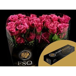 R Gr Blue Berry Box