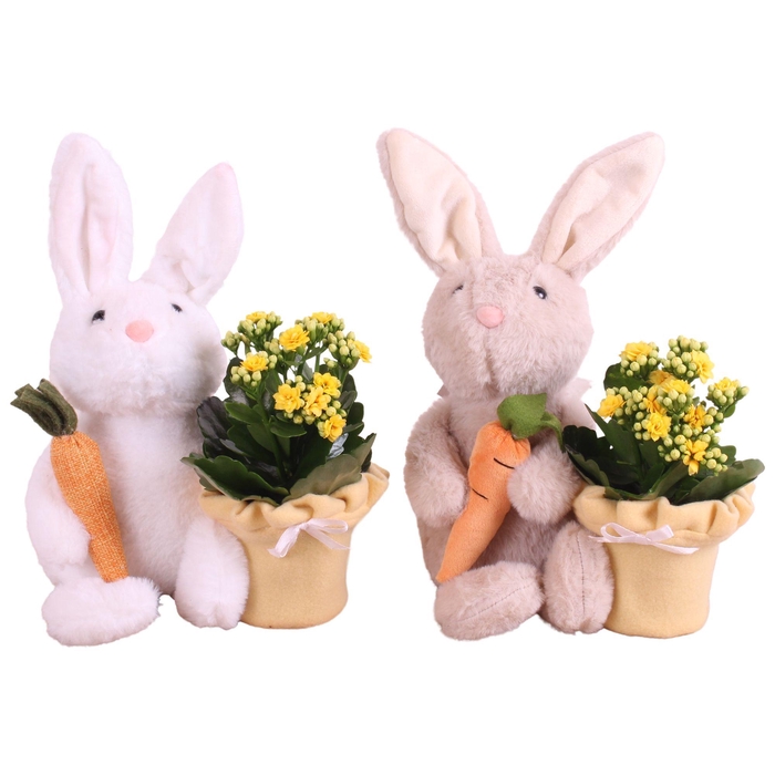 <h4>Easter Arr. Indoor Cuddly Rabbit Ø20cm 1PP</h4>