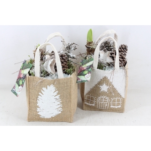 arr4 Amaryllis MB - Jute tas christmas x6