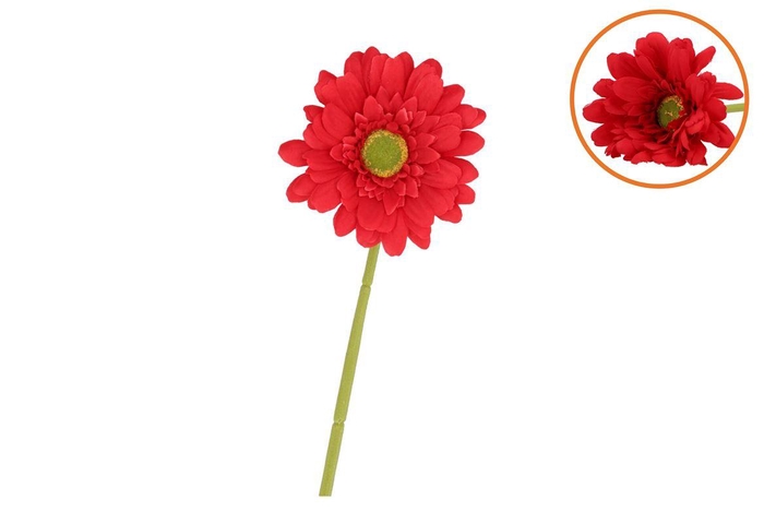 <h4>Silk Gerbera Red 72cm Nm</h4>