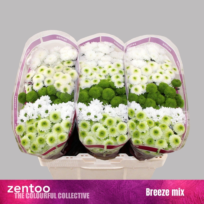 <h4>CHR S MIX BREEZE</h4>