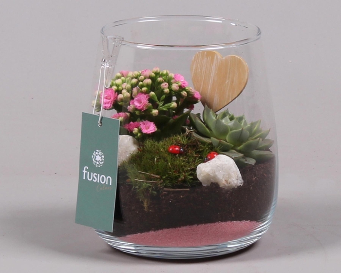 <h4>Planten  ..in schaal H%</h4>