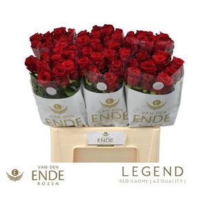 R GR RED NAOMI! 22222