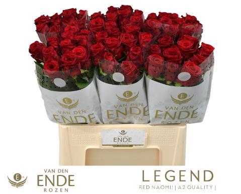 <h4>R GR RED NAOMI! 22222</h4>