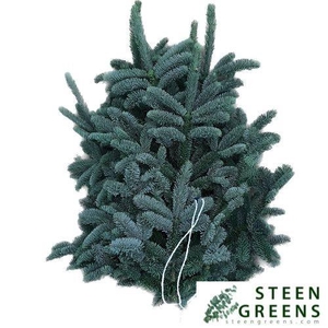 ABIES NOB BLAUW KILO
